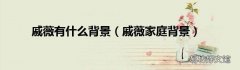 戚薇家庭背景 戚薇有什么背景