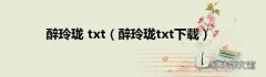 醉玲珑txt下载 醉玲珑 txt