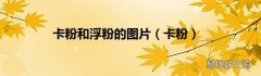 卡粉 卡粉和浮粉的图片