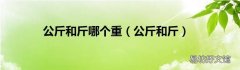 公斤和斤 公斤和斤哪个重