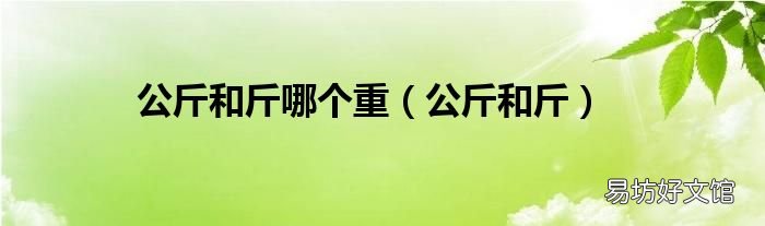 公斤和斤 公斤和斤哪个重