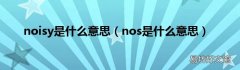 nos是什么意思 noisy是什么意思