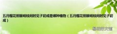 五月榴花照眼明枝间时见子初成 五月榴花照眼明枝间时见子初成是哪种植物