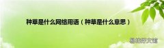 种草是什么意思 种草是什么网络用语
