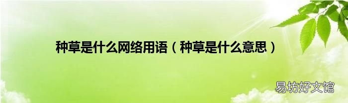 种草是什么意思 种草是什么网络用语