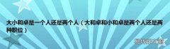 大和卓和小和卓是两个人还是两种职位 大小和卓是一个人还是两个人