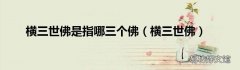 横三世佛 横三世佛是指哪三个佛