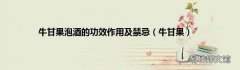 牛甘果 牛甘果泡酒的功效作用及禁忌