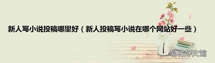 新人投稿写小说在哪个网站好一些 新人写小说投稿哪里好