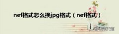 nef格式 nef格式怎么换jpg格式