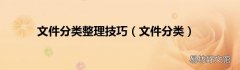 文件分类 文件分类整理技巧
