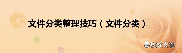 文件分类 文件分类整理技巧