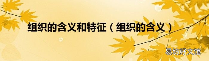 組織的含義 組織的含義和特征