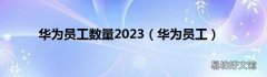 华为员工 华为员工数量2023