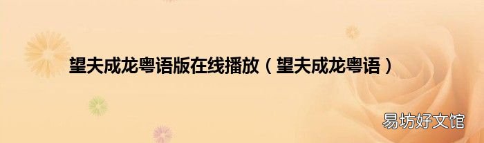 望夫成龙粤语 望夫成龙粤语版在线播放