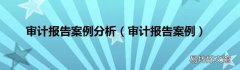 审计报告案例 审计报告案例分析