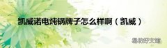 凯威 凯威诺电炖锅牌子怎么样啊
