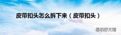 皮带扣头 皮带扣头怎么拆下来