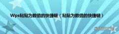 粘贴为数值的快捷键 Wps粘贴为数值的快捷键