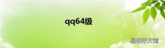 qq64级