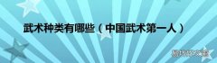 中国武术第一人 武术种类有哪些