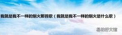 我就是我不一样的烟火是什么歌 我就是我不一样的烟火那首歌