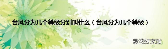 台风分为几个等级 台风分为几个等级分别叫什么