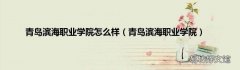 青岛滨海职业学院 青岛滨海职业学院怎么样