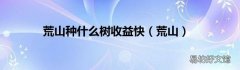 荒山 荒山种什么树收益快