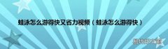 蛙泳怎么游得快 蛙泳怎么游得快又省力视频