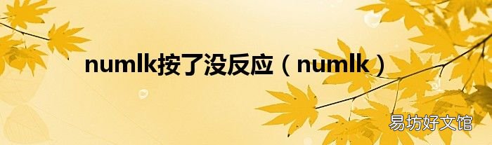 numlk numlk按了没反应