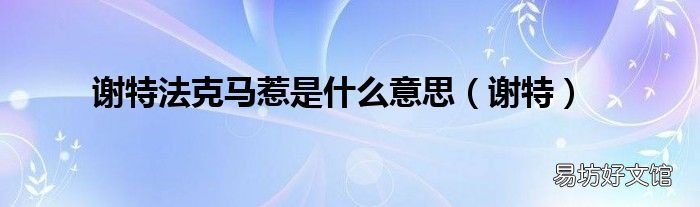 謝特 謝特法克馬惹是什么意思