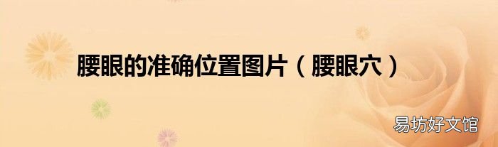 腰眼穴 腰眼的准确位置图片
