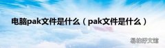 pak文件是什么 电脑pak文件是什么