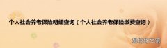 个人社会养老保险缴费查询 个人社会养老保险明细查询