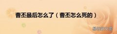 曹丕怎么死的 曹丕最后怎么了
