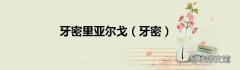 牙密 牙密里亚尔戈