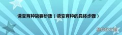 诱变育种的具体步骤 诱变育种简要步骤