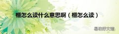 榧怎么读 榧怎么读什么意思啊