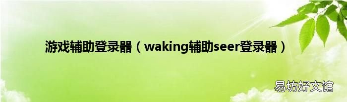 waking辅助seer登录器 游戏辅助登录器
