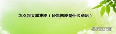 征集志愿是什么意思 怎么报大学志愿