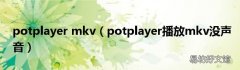 potplayer播放mkv没声音 potplayer mkv