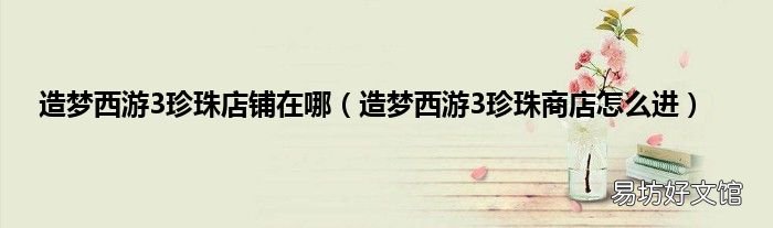 造梦西游3珍珠商店怎么进 造梦西游3珍珠店铺在哪