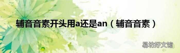 辅音音素 辅音音素开头用a还是an