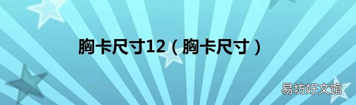 胸卡尺寸 胸卡尺寸12