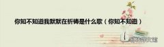 你知不知道 你知不知道我默默在祈祷是什么歌