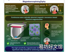 用于环境脑磁图的新型金刚石量子磁力仪