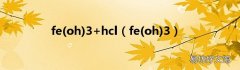 oh fe3 fe(oh)3+hcl