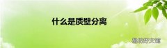 什么是质壁分离