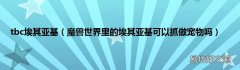 魔兽世界里的埃其亚基可以抓做宠物吗 tbc埃其亚基